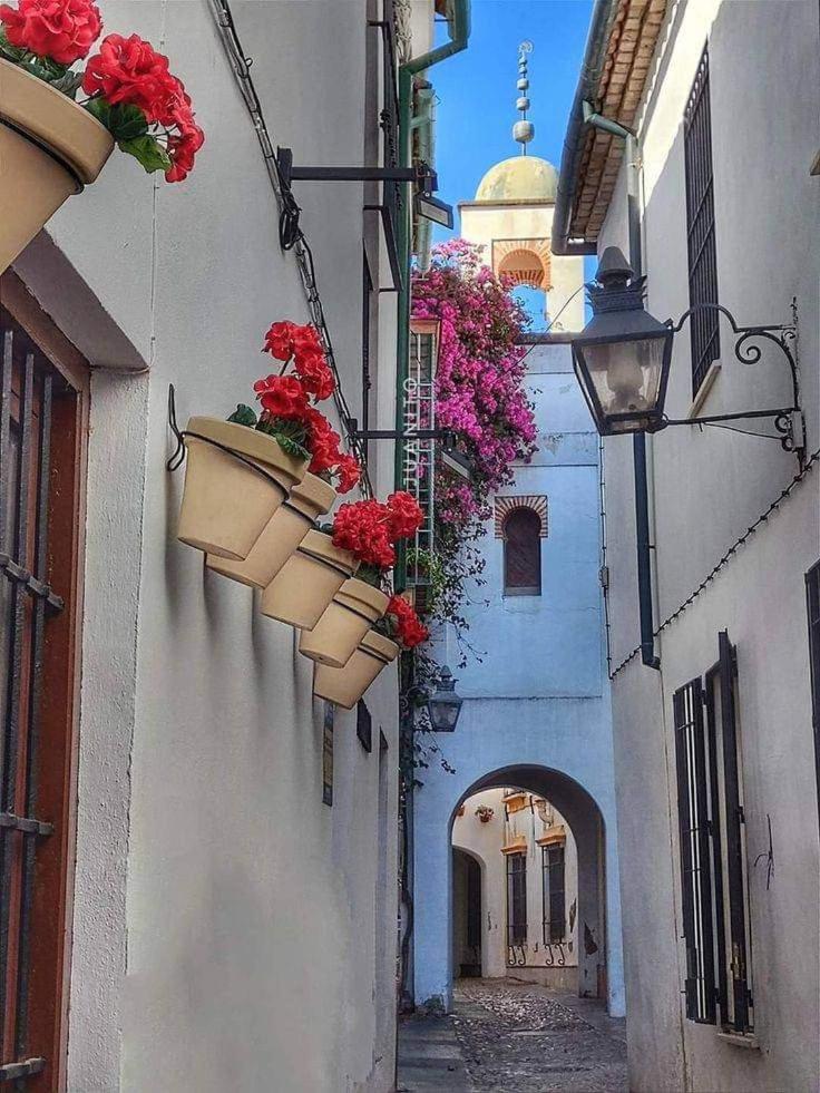 Loft El Arcángel Córdoba Exterior foto